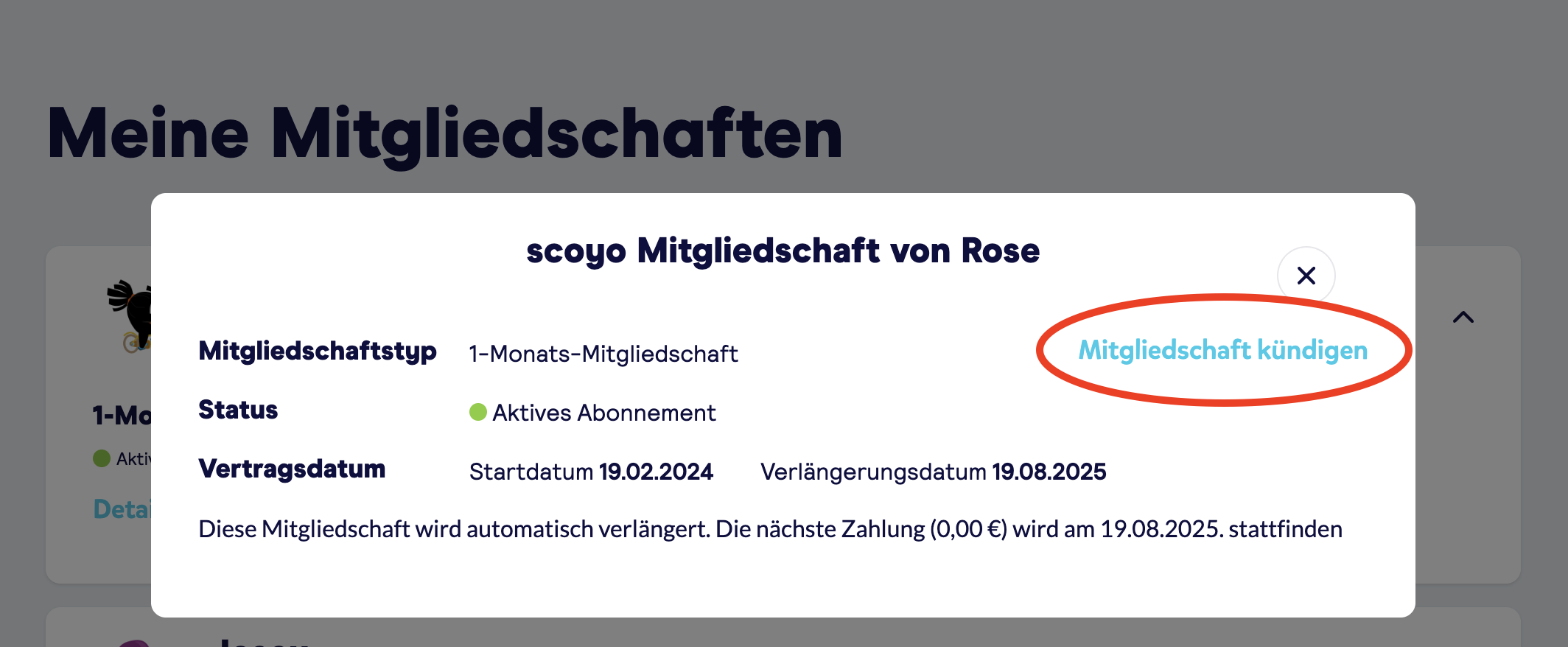 Scherm­afbeelding 2025-07-22 om 16.29.34.png